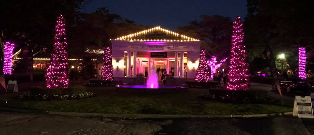 Landscape Lighting Henlopen Acres DE
