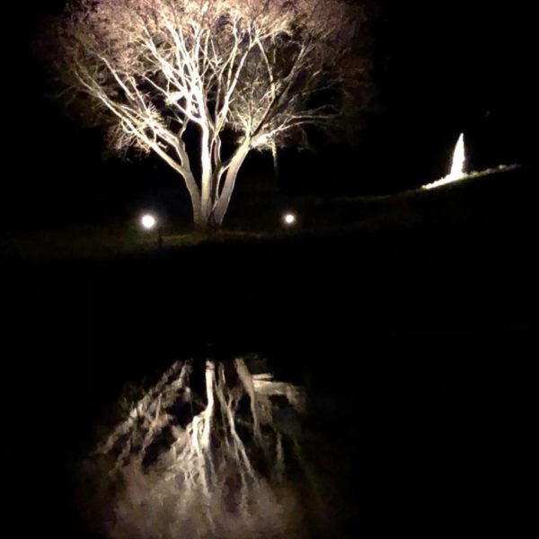 landscape lighting bethany beach de 